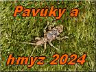 hmyz a pavuky